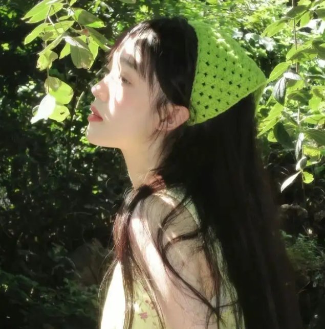 蚊子是怎么生活的