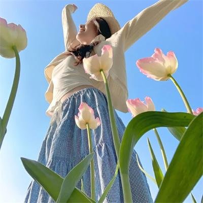 花姊妹风流债